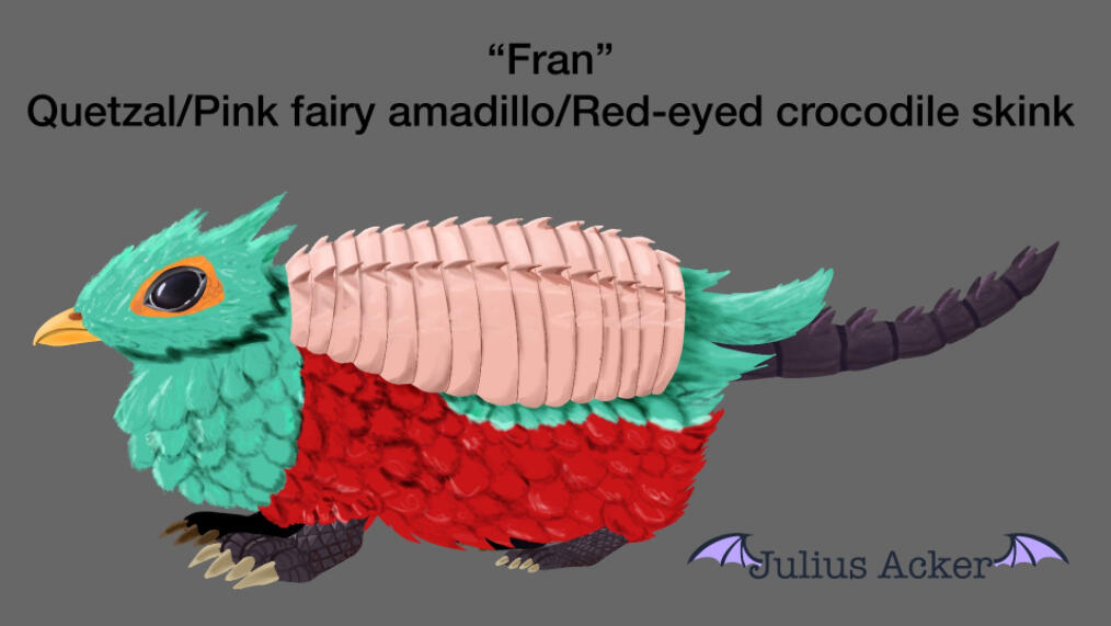 Combined Creatures #2 Mix of a pink fairy armadillo, quetzal, and red-eyed crocodile skink