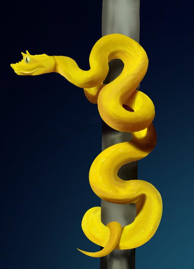Golden Eyelash Viper